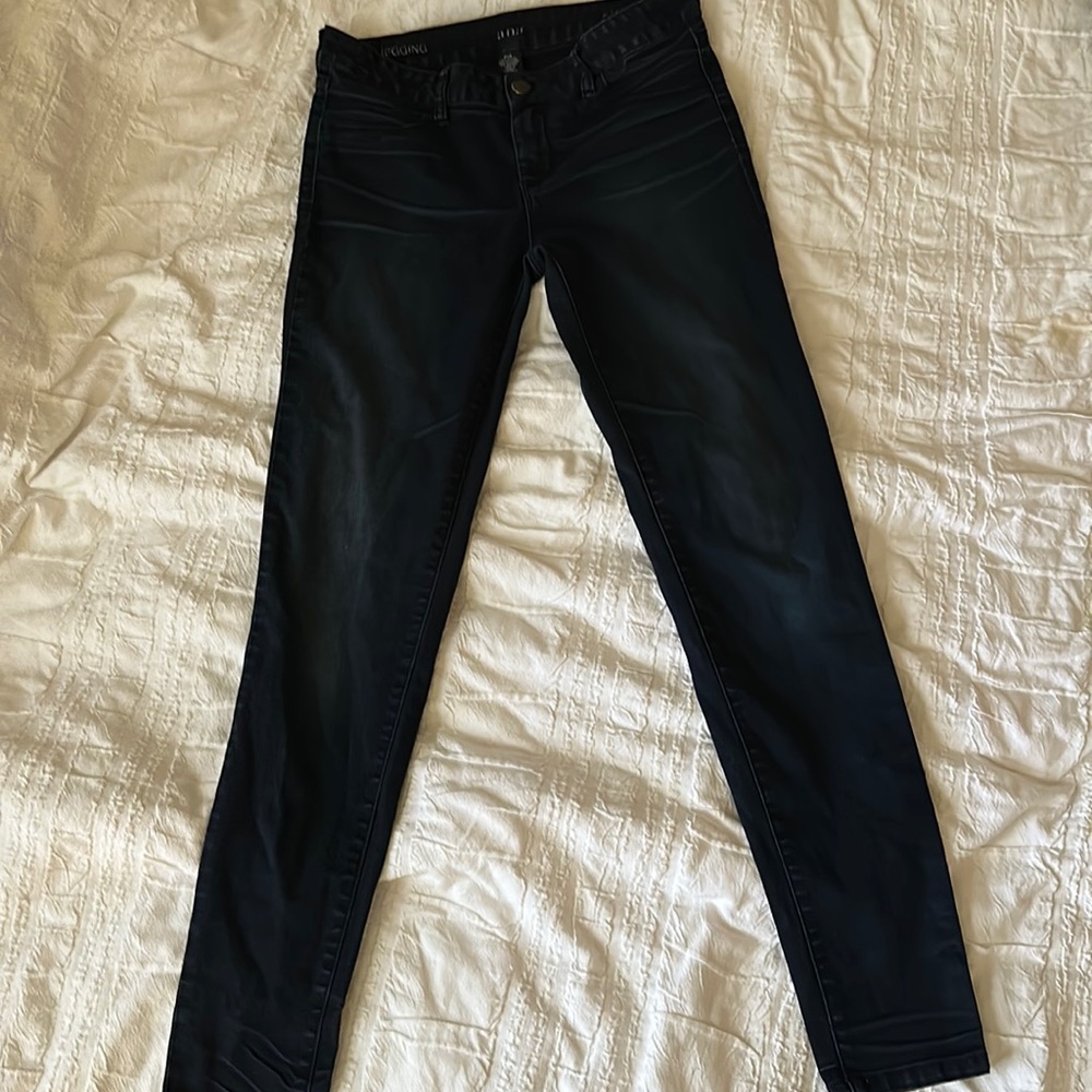 Ana Skinny Jeans- Great condition!